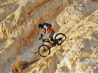Mountain Bike Insurance: Which Coverage is Most Suitable for You? Affordable Mountain Bike Coverage