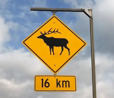 traffic warning sign for deer crossing